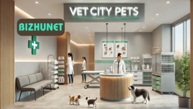 ветеринарная клиника vetcitypets